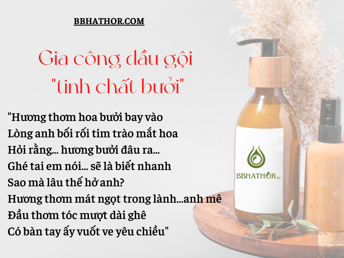 gia công dầu gội tinh chất bưởi