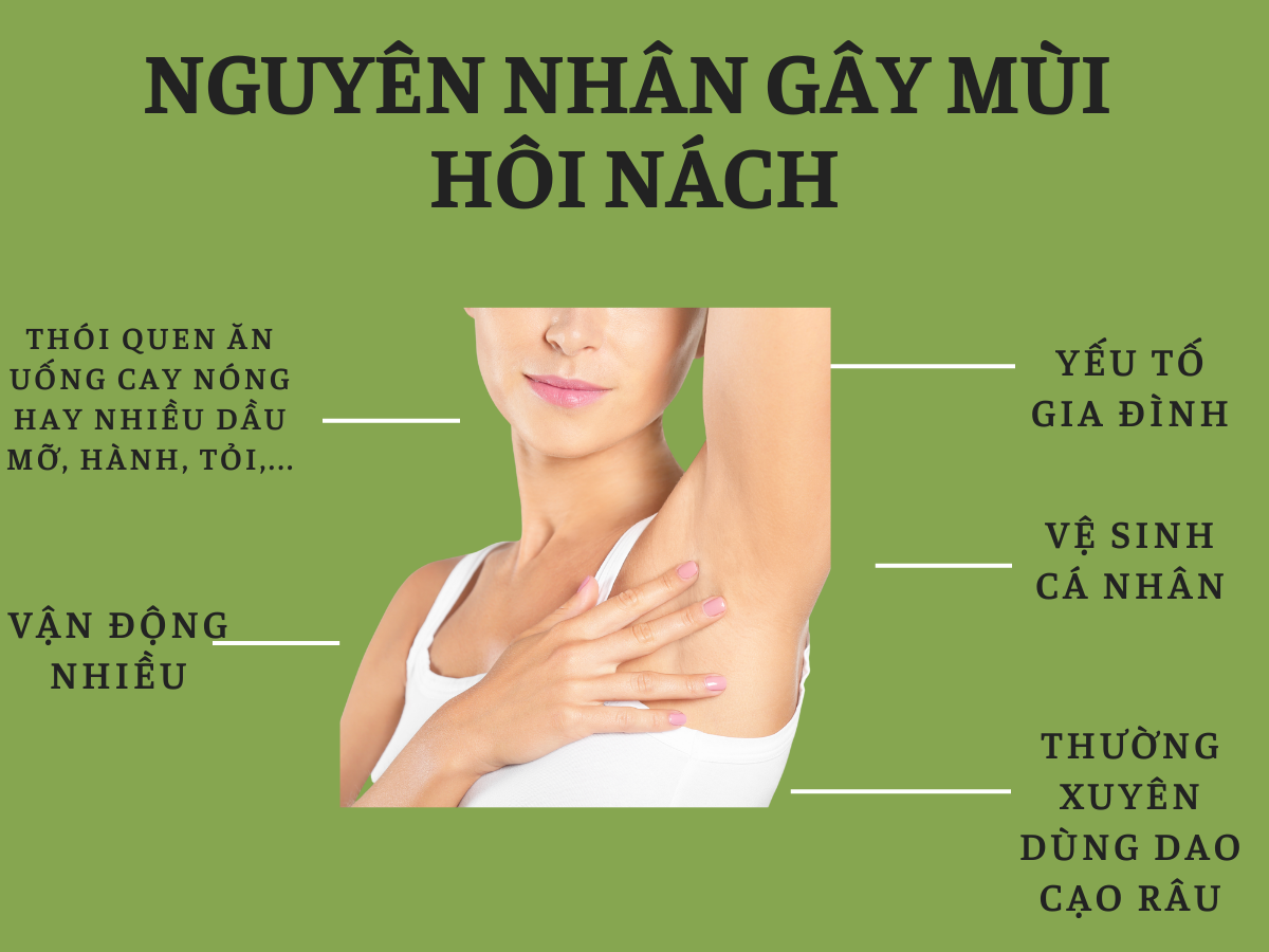 nguyen-nhan-gay-mui-hoi-nach