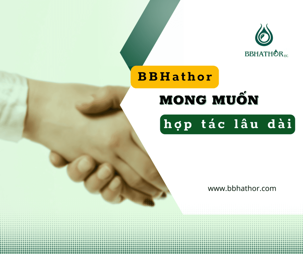 BBHathorEC luôn sẵn lòng hỗ trợ đối tác mong muốn hợp tác lâu dài