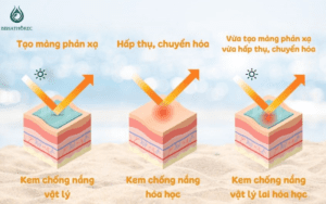 Kem chống nắng vật lý kết hợp hóa học