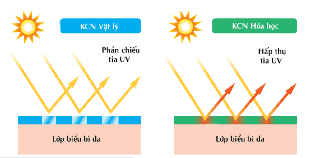 Phân biệt trong gia công kem chống nắng vật lý và hóa học