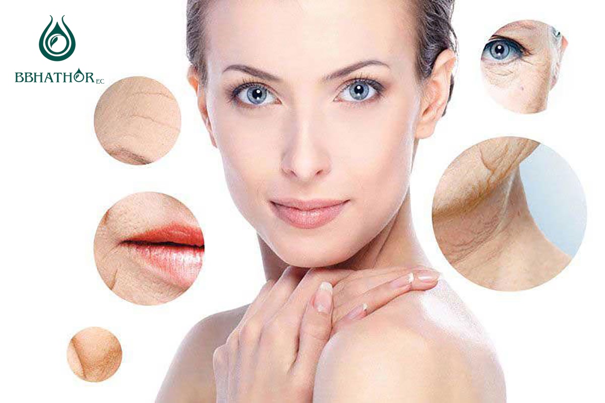 gia công kem chống lão hoá cho spa