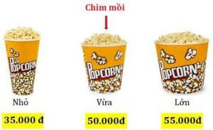 hieu-ung-chim-moi-2