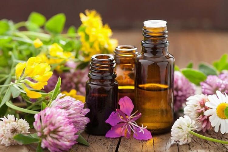 Thành phần gia công sản phẩm khử mùi